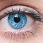eye facts
